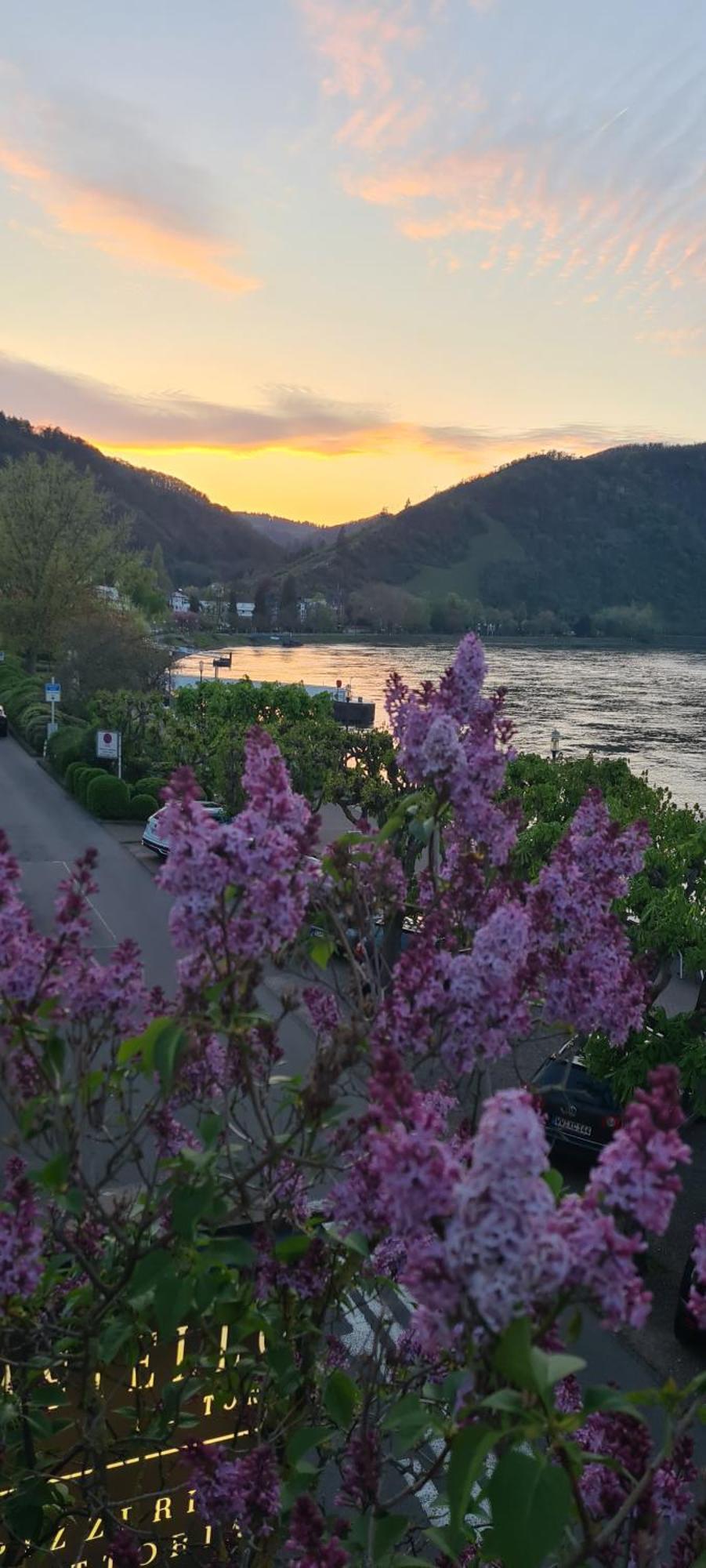 Castello Apartment Boppard Dış mekan fotoğraf