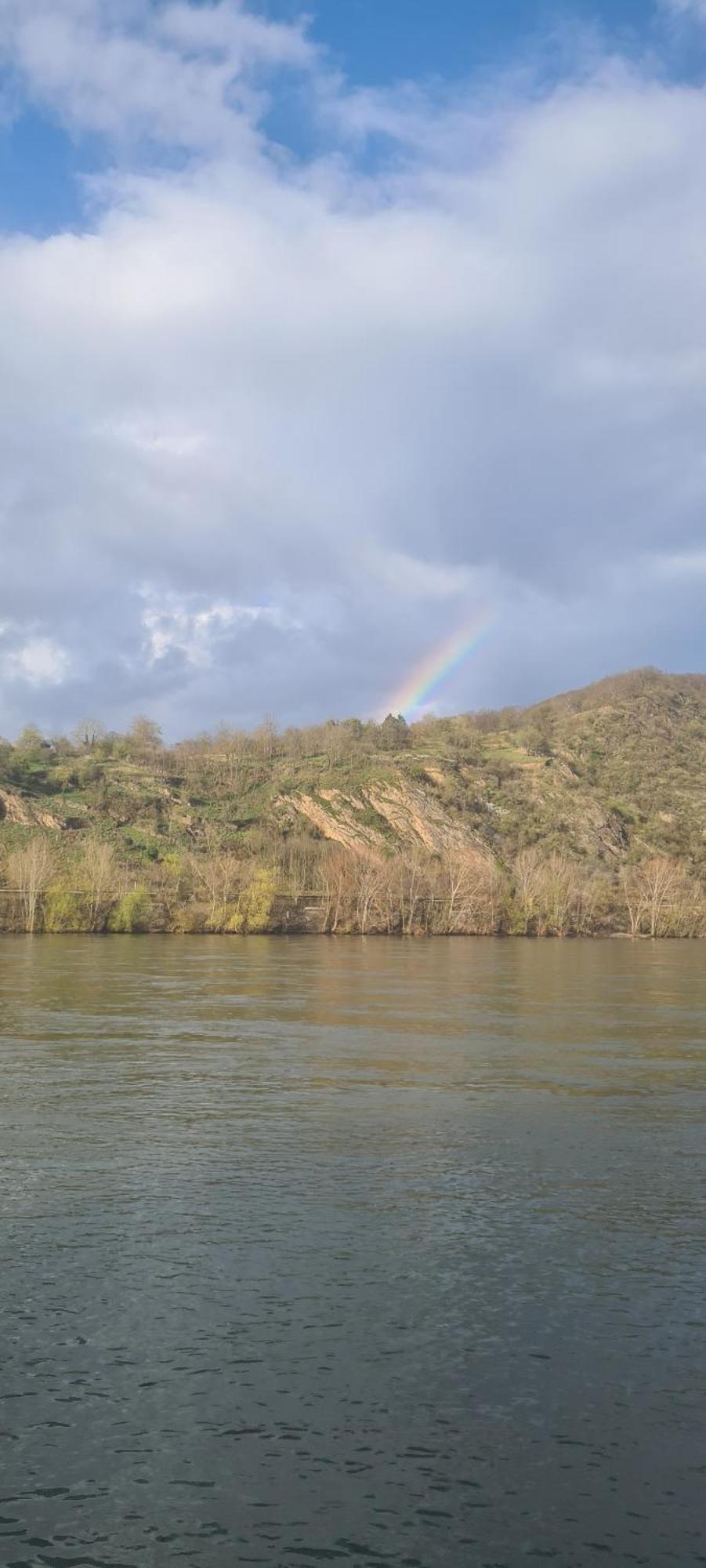 Castello Apartment Boppard Dış mekan fotoğraf